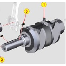 ALBERO MOTORE LOMBARDINI LDW502 (USATO)