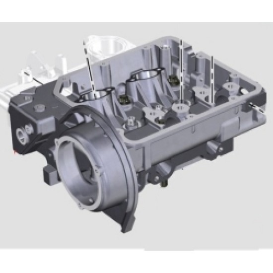 TESTATA MOTORE LOMBARDINI LDW502 (REVISIONATA)