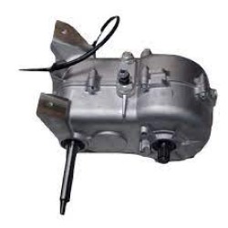 CAMBIO RIDUTTORE DIFFERENZIALE MICROCAR MC1 MC2 (USATO)